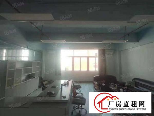  龙岗中心城300平起分租带豪华装修电商贸易产业孵化基地无转让