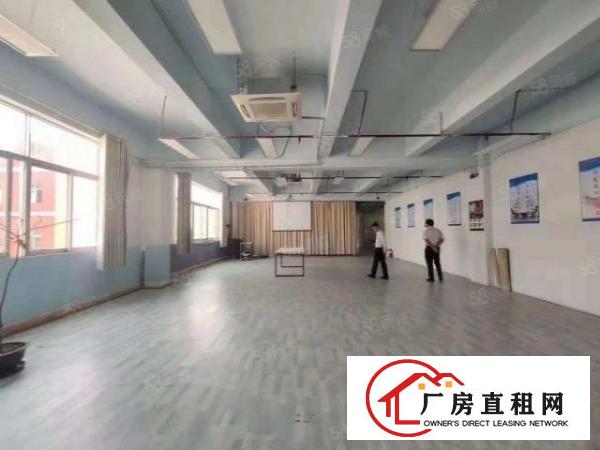 龙岗中心城300平起分租带豪华装修电商贸易产业孵化基地无转让