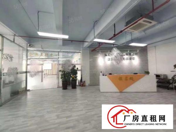  龙岗中心城300平起分租带豪华装修电商贸易产业孵化基地无转让