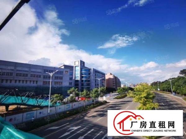  业主直租可办公可生产红本带消防厂房出租免租3个月