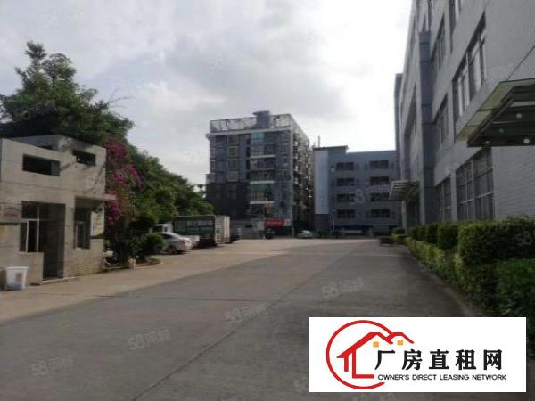  业主直租可办公可生产红本带消防厂房出租免租3个月