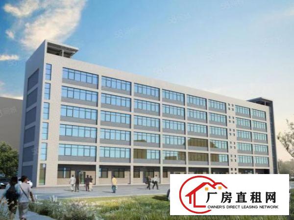  业主直租红本产权可分租办公楼厂房出租免租3个月起