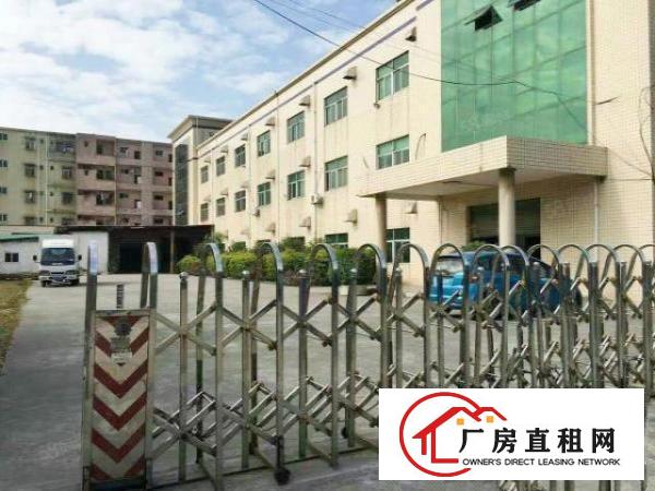  15元厂房出租500平1000平1500平带装修龙岗南联爱联