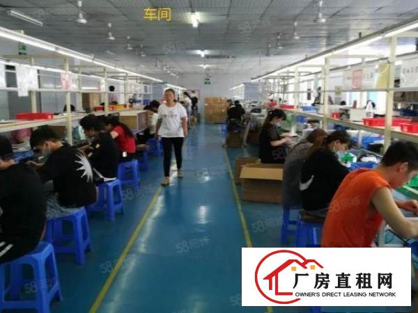  龙岗中心城大型工业区厂房出租二楼1000平带有现成精装修
