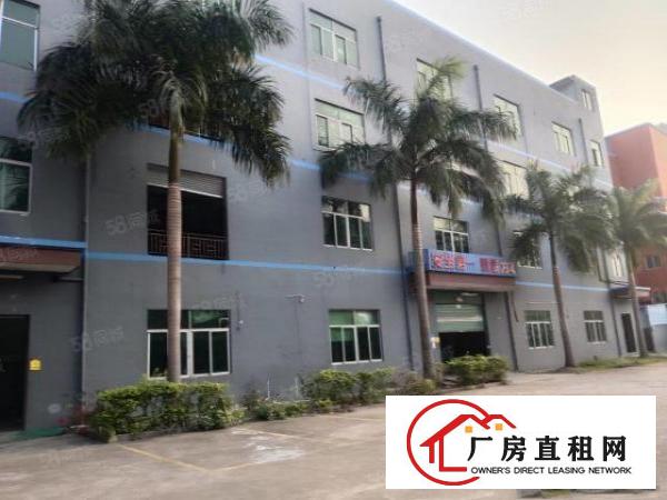  龙岗龙东单层面积2000平厂房出租带装修大小分租一楼6米高
