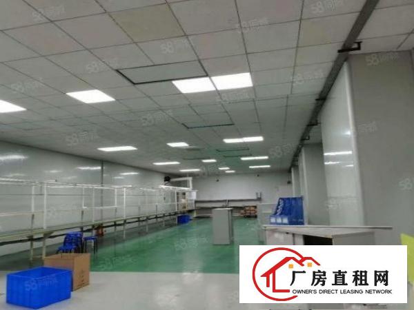  嶂背工业区原房东实际面积现成电子厂带精装修厂房1260平米