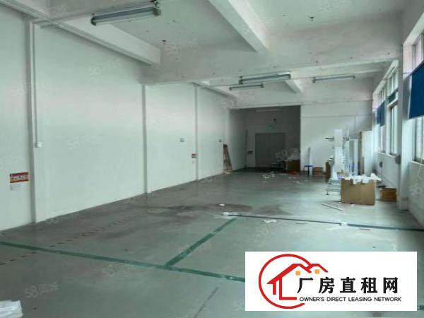  嶂背工业区原房东实际面积现成电子厂带精装修厂房1260平米