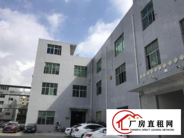  龙岗同乐标准精装修厂房仓库1000平方招租500平方起分