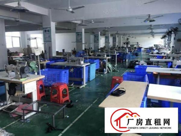  龙岗同乐标准精装修厂房仓库1000平方招租500平方起分