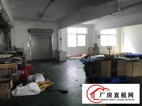  龙岗同乐标准精装修厂房仓库1000平方招租500平方起分