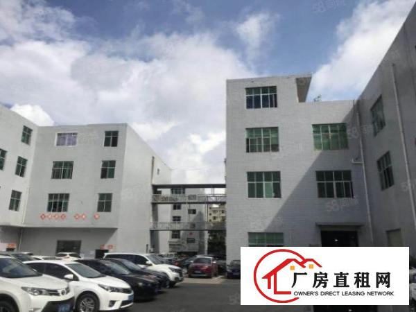  龙岗同乐标准精装修厂房仓库1000平方招租500平方起分