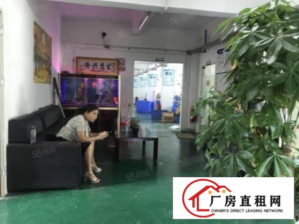  龙岗同乐标准精装修厂房仓库1000平方招租500平方起分