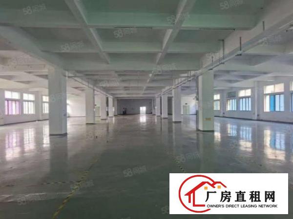  龙岗新出独院6000平出租可以分租带装修水电齐全入住即可生产