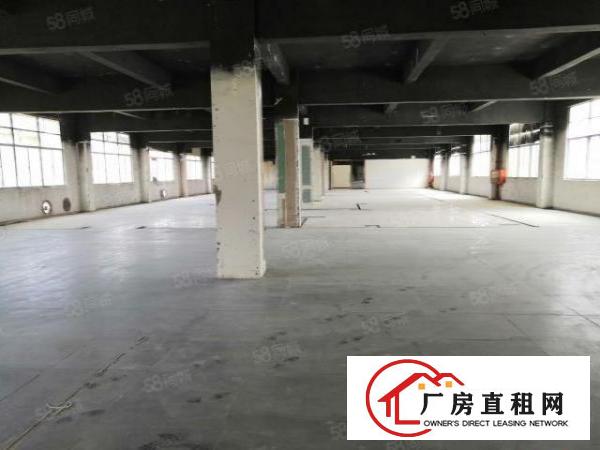  龙岗镇地铁口厂房12楼可分租单层2000m2共4000m2