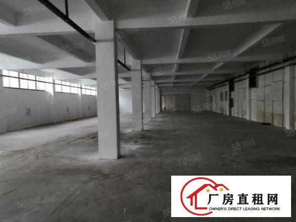  龙岗镇地铁口厂房12楼可分租单层2000m2共4000m2