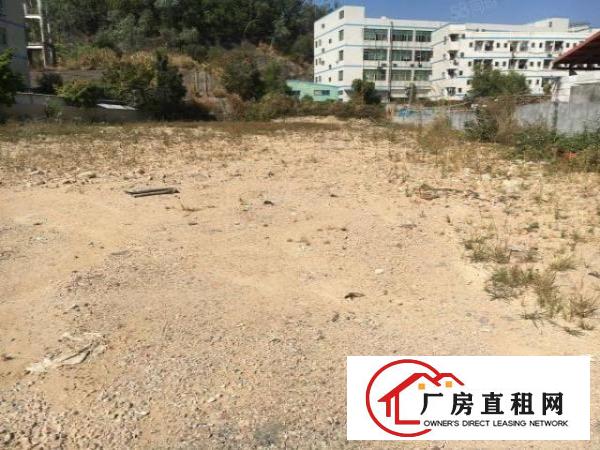  龙岗爱南路50000平方空地招租硬化好可分租租金12块