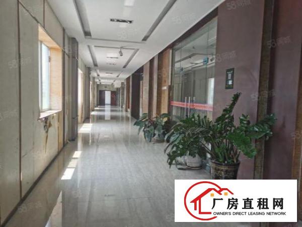  龙岗同乐工业区，直接业主，原房东红本独院厂房出租