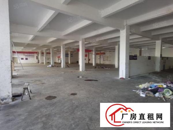  龙岗同乐工业区，直接业主，原房东红本独院厂房出租