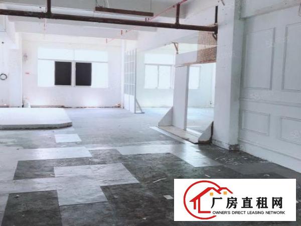 房东厂房450平电商贸易服装电子科技摄影网红仓库五金