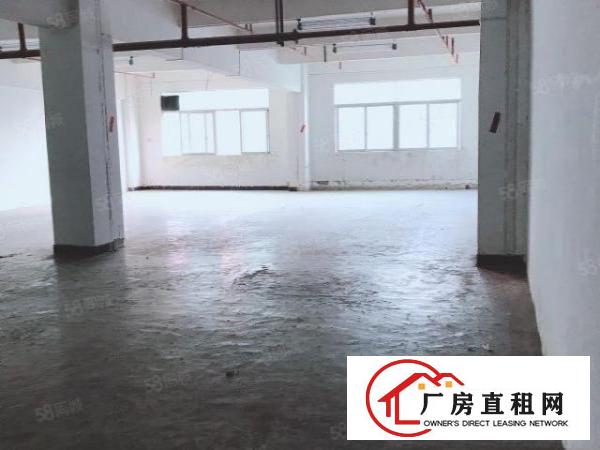  房东厂房450平电商贸易服装电子科技摄影网红仓库五金