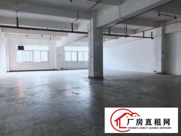  房东厂房450平电商贸易服装电子科技摄影网红仓库五金