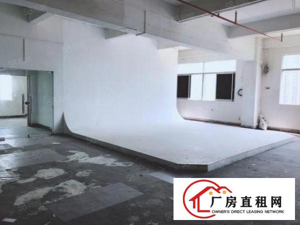  房东厂房450平电商贸易服装电子科技摄影网红仓库五金