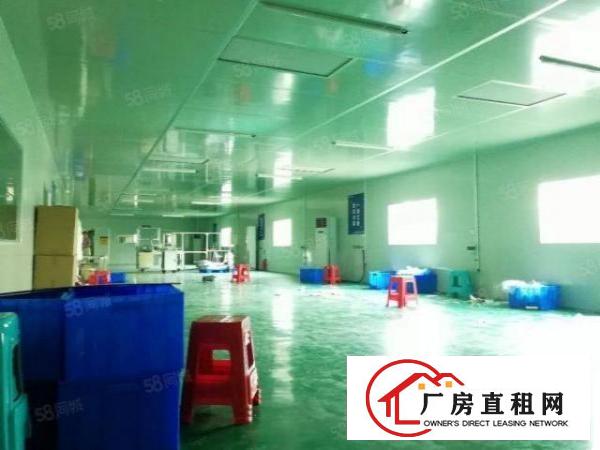  无尘车间厂房出租龙岗中心城厂房招租十万级无尘车间550平
