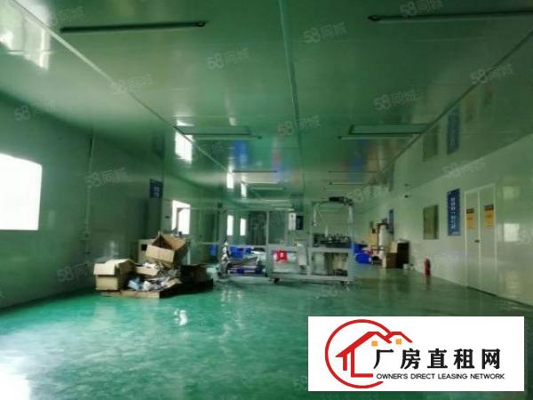  无尘车间厂房出租龙岗中心城厂房招租十万级无尘车间550平