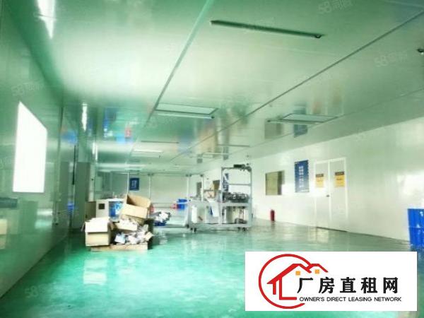  无尘车间厂房出租龙岗中心城厂房招租十万级无尘车间550平