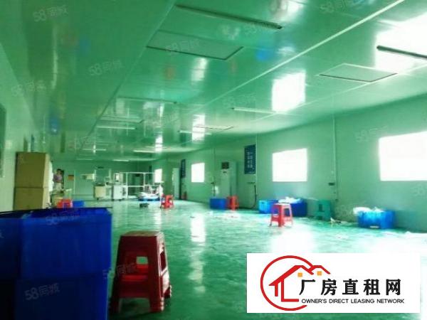  无尘车间厂房出租龙岗中心城厂房招租十万级无尘车间550平