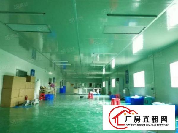  无尘车间厂房出租龙岗中心城厂房招租十万级无尘车间550平