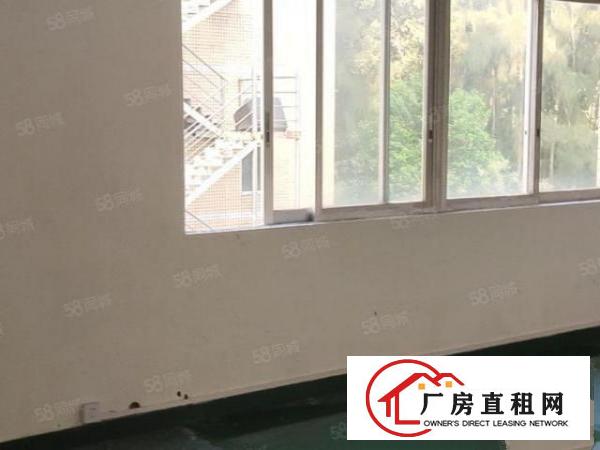  龙岗新生280平方独院一楼7000元一个月