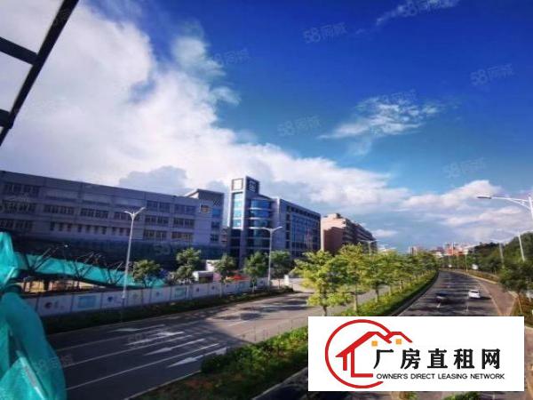  房东直租红本带消防可分割标准厂房出租免租三个月起
