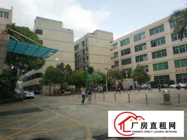  龙岗同乐原房东红本5000平厂房出租带装修超高使用