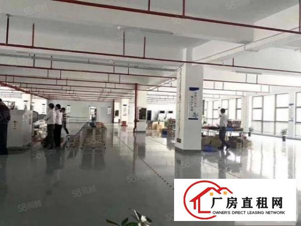  龙岗同乐原房东红本5000平厂房出租带装修超高使用