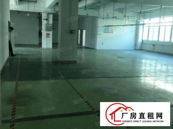  龙岗同乐原房东红本5000平厂房出租带装修超高使用