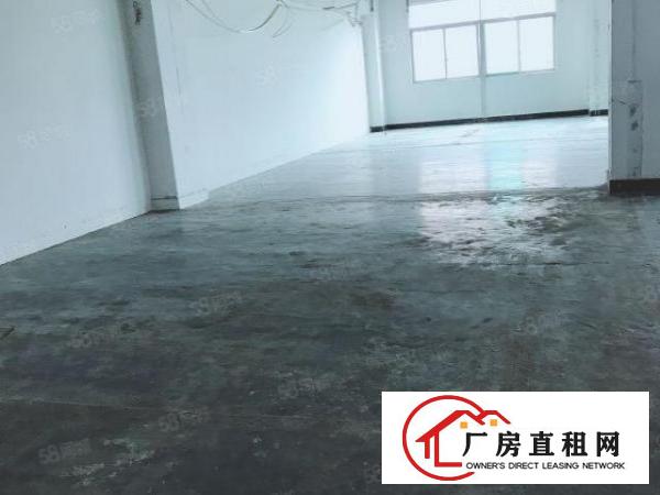  业主爱联厂房招网红摄影电商电子服装五金仓库640平价格面议