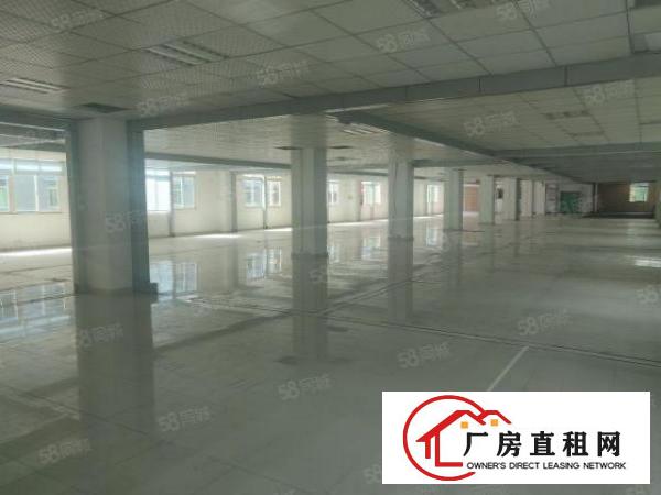  一手业主出租厂房仓库写字楼，面积可分价格可谈