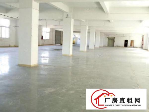  一手业主出租厂房仓库写字楼，面积可分价格可谈