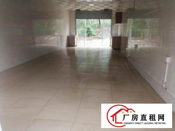  龙岗区宝龙街道龙南路厂房出租两押一租免中介费