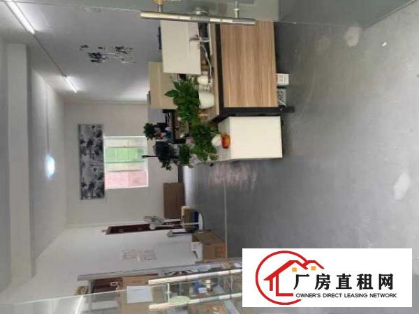  龙岗南联分租350平方