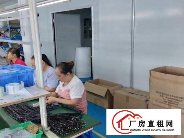  龙岗区深汕路292号银龙物流园870平厂房装修完整出租