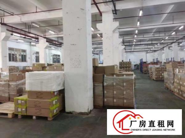  龙岗宝龙一楼6米高3500平方红本厂房出租