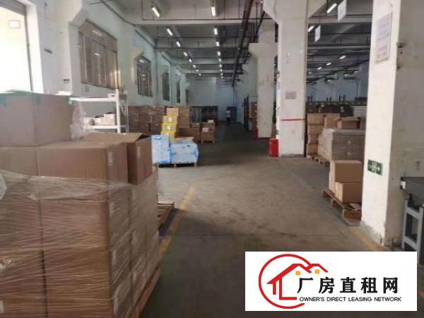  龙岗宝龙一楼6米高3500平方红本厂房出租