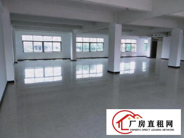  龙岗同乐新出原房东100到1500平标准厂房出租大小可分租