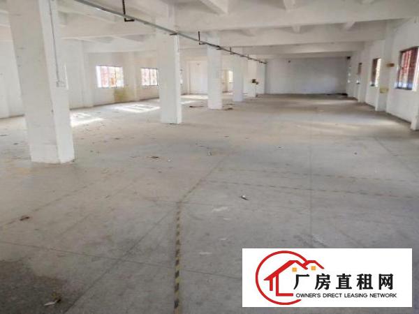  龙岗同乐新出原房东100到1500平标准厂房出租大小可分租