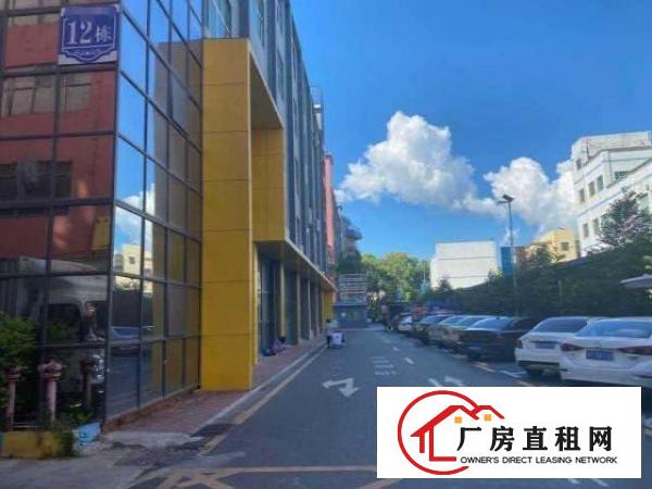 房东直招，南联地铁口附近带简装厂房 办公室，户型方正，采光好