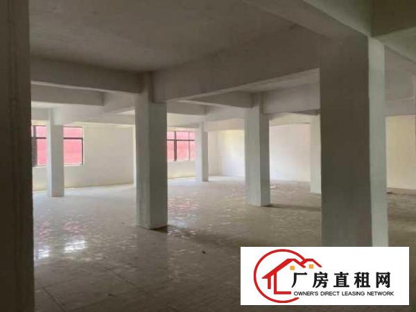  房东直招，南联地铁口附近带简装厂房 办公室，户型方正，采光好