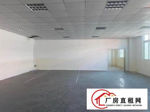  无中介费一手房东出租龙岗区利好工业园写字楼厂房带两吨货梯