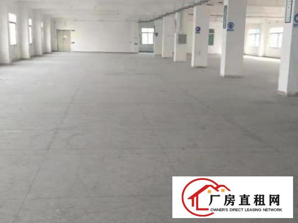  龙岗南联第六工业区独院厂房出租8800平方可分租